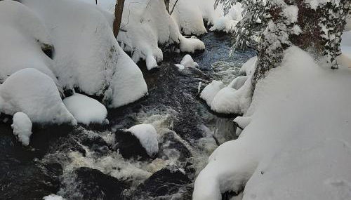 Landhaus Am Schmiedebach - Foto 2