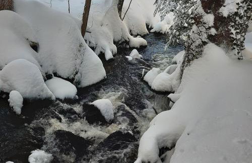 Landhaus Am Schmiedebach - Foto 2
