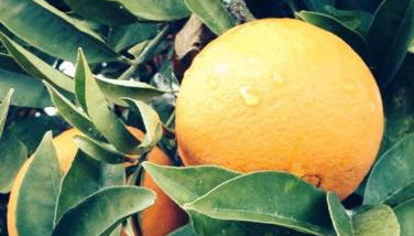 Casa Jaimie - Foto 3