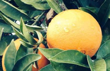 Casa Jaimie - Foto 3