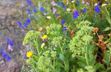 Żurawisko - Domki wśród natury - Foto 76