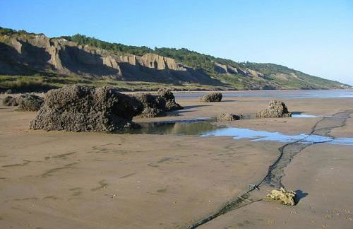 L'Air Marin - au coeur d'Houlgate - Photo 16