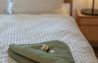 Altstadtnahes Domblickapartment - Foto 11