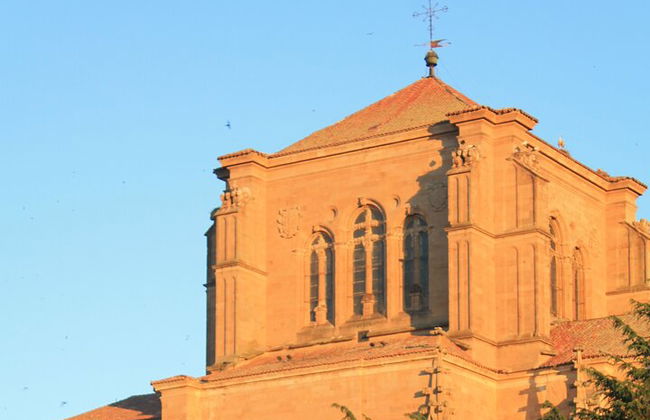 Excursão a pé noturna em Salamanca bilíngue - Foto 6