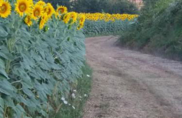 Podere Gian Battaglia - Foto 35