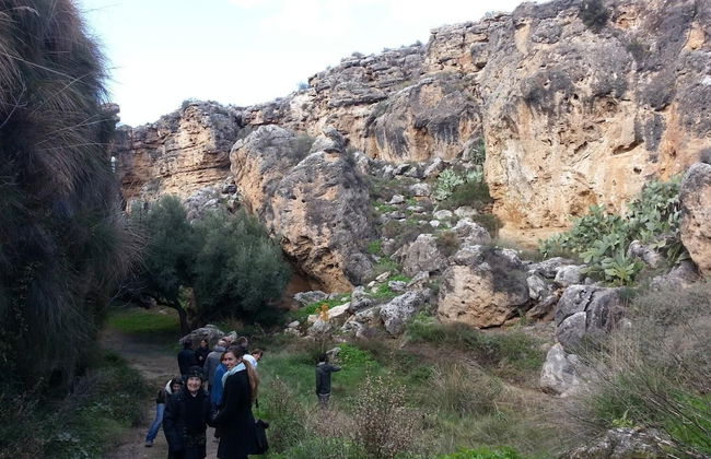 Cuevas Almagruz - Foto 27