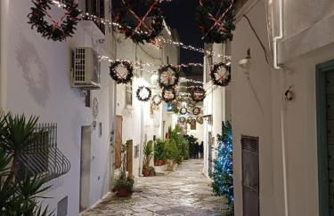 Antoniette-DimorePugliesi - Foto 3