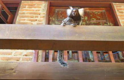 Chalés na Hora - Foto 25