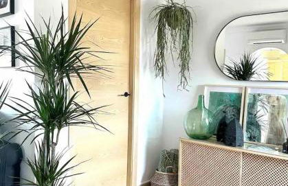 Oliva Nova Playa Golf MET - Photo 22