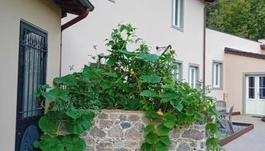 Casa vacanze Raggio di Sole - Foto 3, Garden view