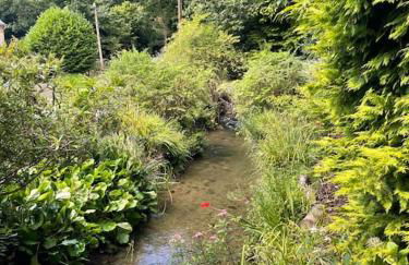 Former Corn Mill Cottage on the North Wales coast - Photo 30