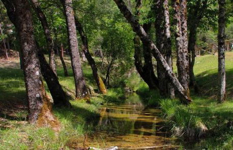 Casa Rural Aguascebas - Foto 16