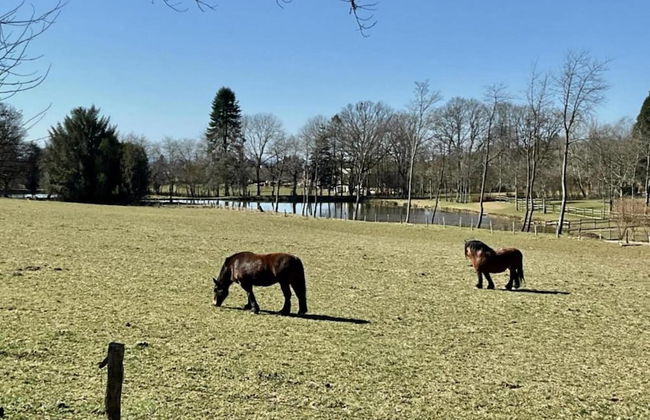 Green Hillside Apartment-petit Wilogne - Photo 37