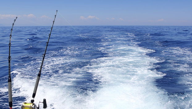 Pesca en alta mar - Foto 4