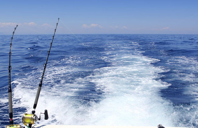 Pesca en alta mar - Foto 4