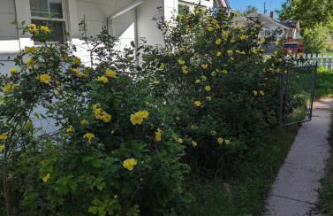 The House of Potter - Foto 52