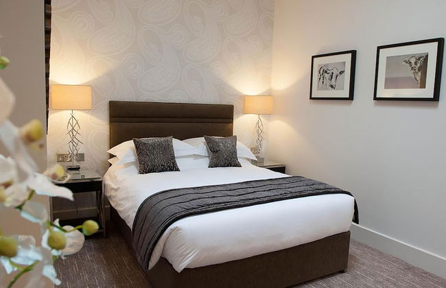 The Halston - Foto 12