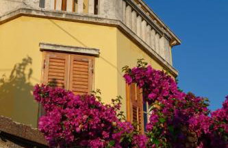 Villa Matilda - Photo 8