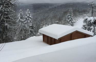 chalet "le Refuge du Brabant" - Foto 1