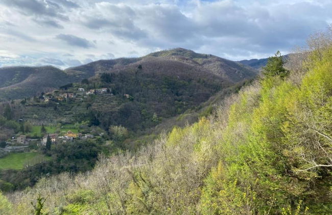 Agriturismo Poggio di Montepescoli - Il Ciliegio - Foto 43