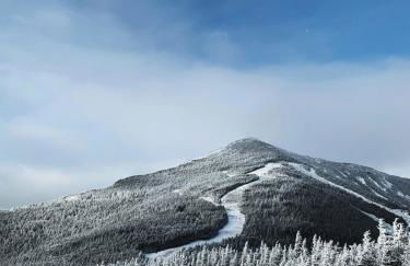 Private Adirondack Log Cabin, Hot Tub, Sauna & Swimming Hole, near Whiteface - Foto 54