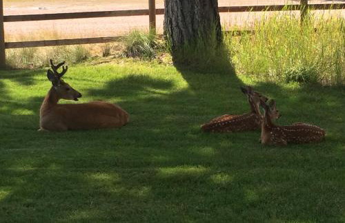 Silvertip Trailhead 2 - Foto 37
