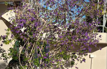 Villa Maxima Lavrio - Foto 64