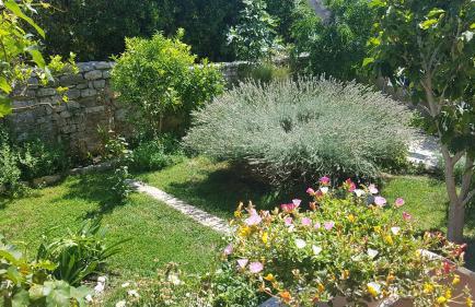 Apartment Lavanda garden - Foto 34