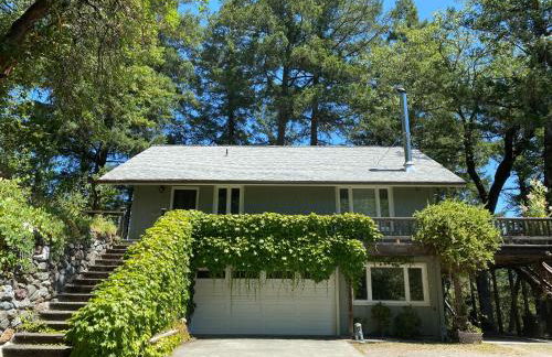 Avenue of the Giants River View Home (#1) - Foto 39