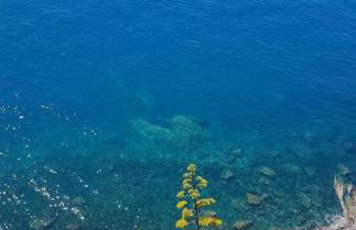 Puppo Apartments - Foto 13