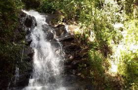 Praias Ubatuba SP - Foto 17