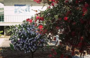 CASA CAMPO DA FEIRA - Foto 39