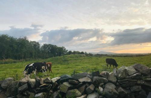 Rocks Chapel Cabin - Photo 9