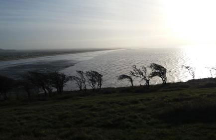 Pear Tree Cottages - Photo 38