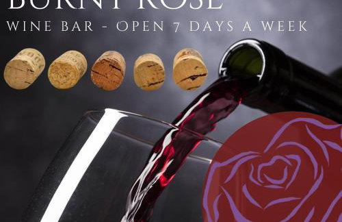 It's A Wonderful Life - Main St Penn Yan - Walk to Shops & Dining - Hot Tub - Pets OK - Seneca & Keuka Lake - Foto 23