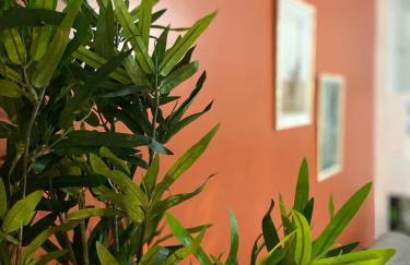 Le Terracotta - Confort en plein centre - Foto 15