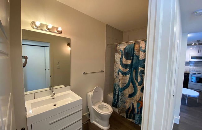 Lovely 1 Bedroom Condo With Free Parking And Balcony - Foto 12