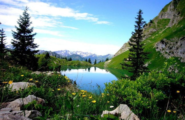 Rubihorn View With Sauna - Photo 16