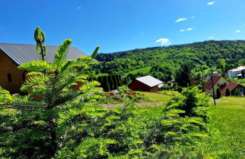 Domek Malinowy - Photo 29