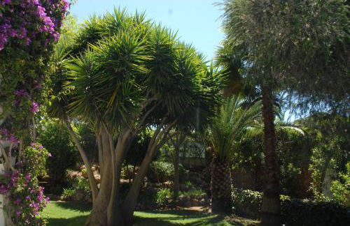 Villa Tobias - Foto 12