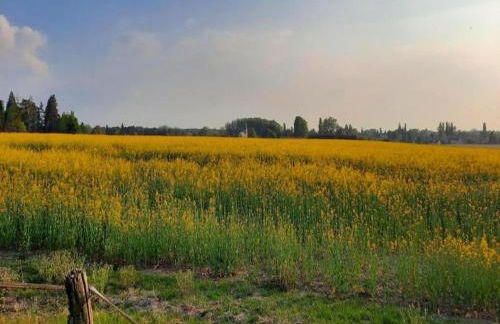 Holiday Home in Chilleurs near Château - Foto 28