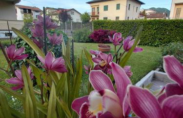 Casa della nonna - Foto 22
