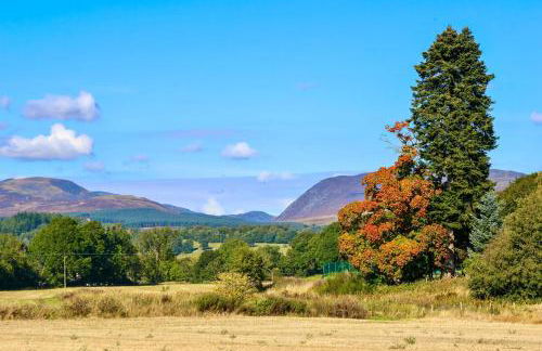 Spacious cottage - walk to Crieff - Photo 24