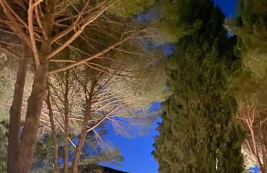 Ghiaccio Bosco - Foto 31