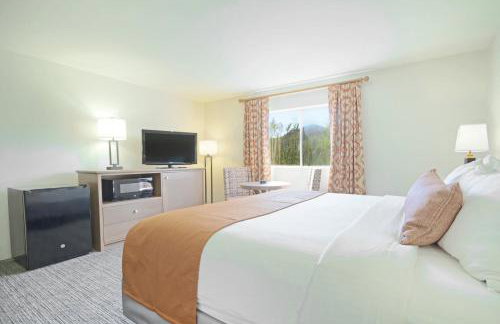 Wyndham Starr Pass Golf Suites Studio Apartment with Resort Access - Foto 20