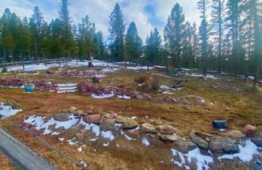 Rocky Mountain Retreat - Foto 13