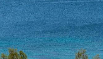 Lilian Beachfront Apartments - Foto 2