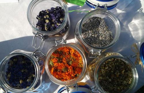 Agritur Agrihouse - Foto 30