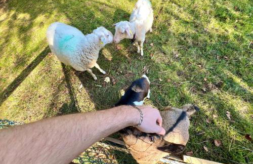 Majestic Mountain - endroit magique - 20 personnes - Foto 69