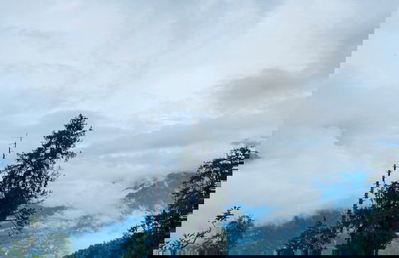 Cove The Glass House - Foto 47